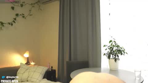 BoyTurtle online show from 11.05.25