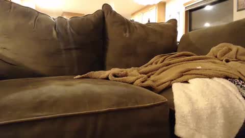 brandondot online show from 02.03.25