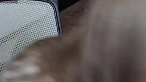 Snapshot of brandy_gem chatting on 02.10.26 Brandy Gem online show from 02.10.26