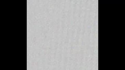 Brax online show from 10.31.25