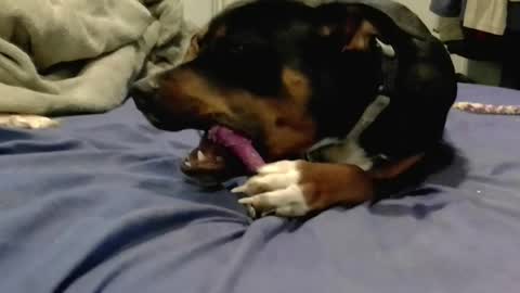 breeandgeebondage303864 online show from 02.16.25