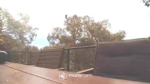 Snapshot of bridie3079 chatting on 10.16.25 Fun Monster online show from 10.16.25