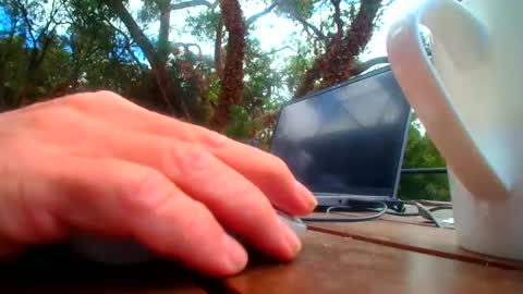 Snapshot of bridie3079 chatting on 02.19.26 Fun Monster online show from 02.19.26