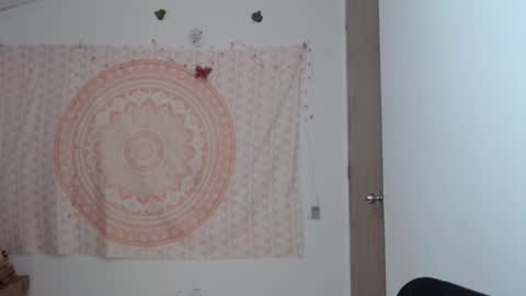 brisama online show from 03.11.25