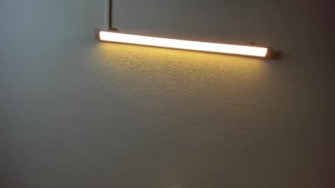 Brittany  online show from 03.08.25