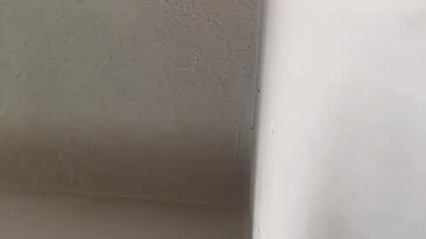 Brittany  online show from 09.20.25