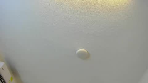 Brittany  online show from 03.01.26