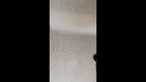 Brittany  online show from 03.31.26