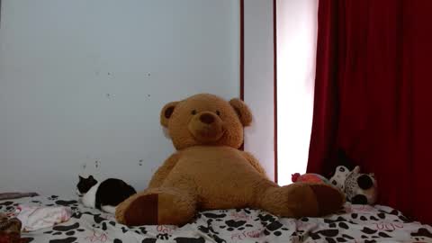 Snapshot of brittany_bubbles chatting on 11.12.25 maru miaw Please help me to reach 100 thumbs up online show from 11.12.25