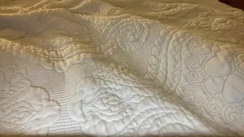 Snapshot of brittany_simpson chatting on 11.10.25 brittany_simpson online show from 11.10.25