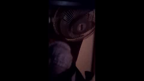 Brobator-gator online show from 02.19.26