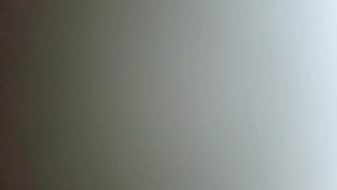 Snapshot of brockdemers1 chatting on 11.11.25 brockdemers1 online show from 11.11.25