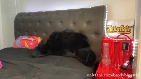 Brody Biggs online show from 11.30.25