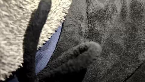 just a broken boy online show from 01.12.26