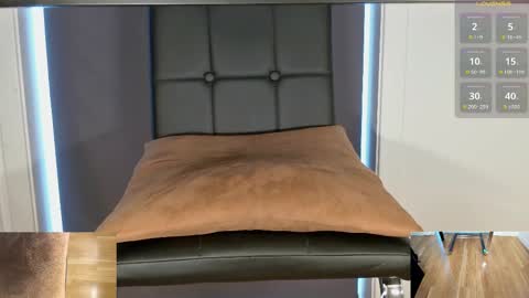 Snapshot of brsrk chatting on 03.10.25 Brsrkr online show from 03.10.25