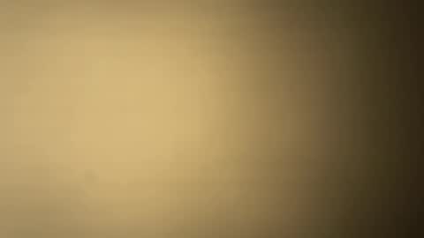 BRUCE online show from 12.07.24