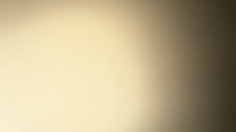 BRUCE online show from 12.26.24