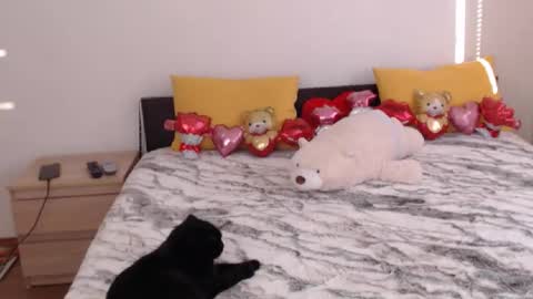 Ellis online show from 02.03.26