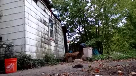 buddylovex online show from 10.06.25