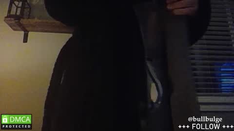 Bull. online show from 01.19.26