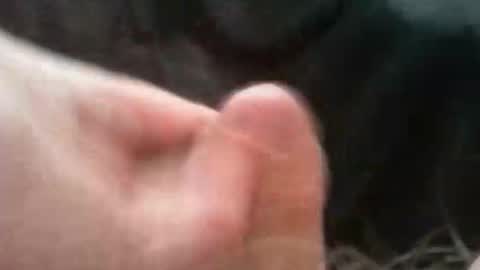 Snapshot of bullemoe chatting on 10.02.25 bullemoe online show from 10.02.25