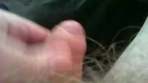 Snapshot of bullemoe chatting on 11.02.25 bullemoe online show from 11.02.25