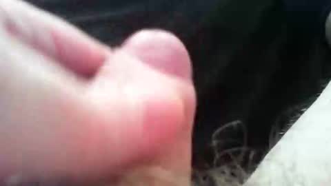 Snapshot of bullemoe chatting on 11.04.25 bullemoe online show from 11.04.25