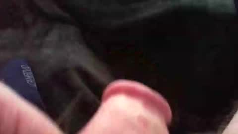 Snapshot of bullemoe chatting on 11.09.25 bullemoe online show from 11.09.25