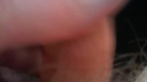 bullemoe online show from 01.06.26