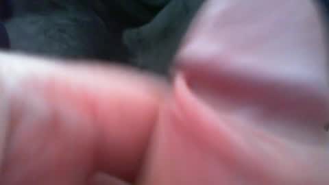 bullemoe online show from 02.07.26