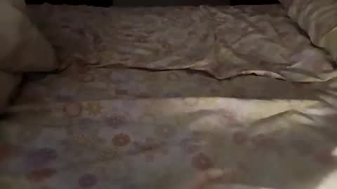 bullspain27266272 online show from 03.03.25