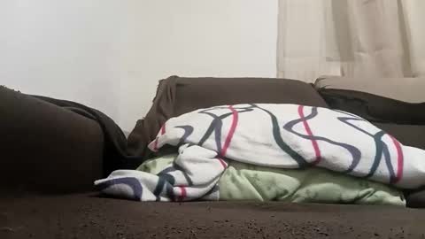 bullspain27266272 online show from 02.10.26