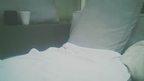 Snapshot of bundy2016 chatting on 04.28.26 Dutch cock online show from 04.28.26