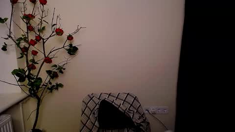 Ariel online show from 03.25.26