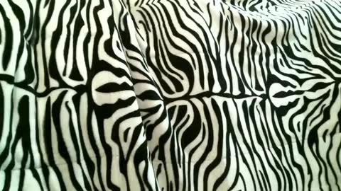 bustinfree online show from 09.15.25