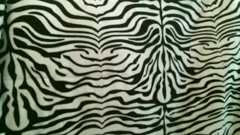 bustinfree online show from 01.12.26