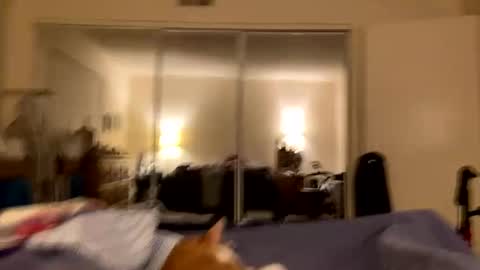 Snapshot of busty_2008 chatting on 02.24.26 busty_2008 online show from 02.24.26