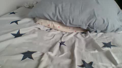 Jojo online show from 04.14.26