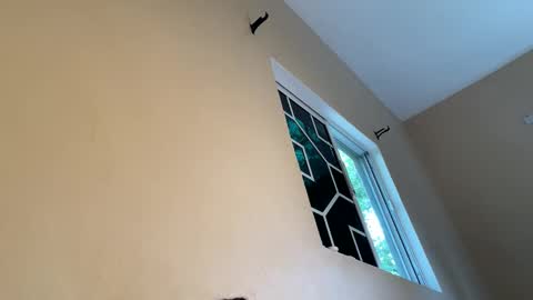 bustyirie online show from 04.09.26