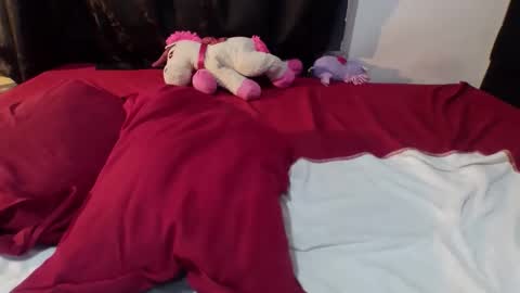 Dylan online show from 02.20.26