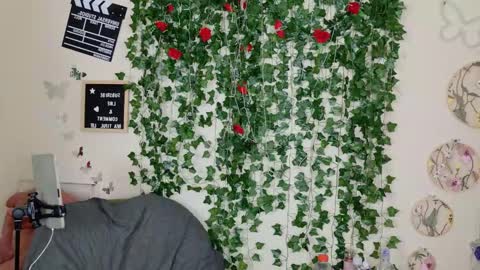 Snapshot of butterflybootyy chatting on 11.01.25 butterfly booty online show from 11.01.25