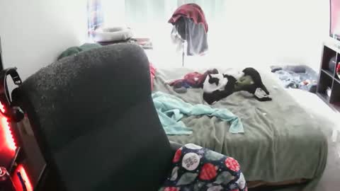 bxbydior online show from 12.13.25