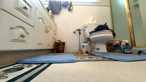 Cal online show from 10.06.25