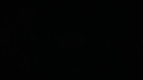 Charly online show from 03.17.26