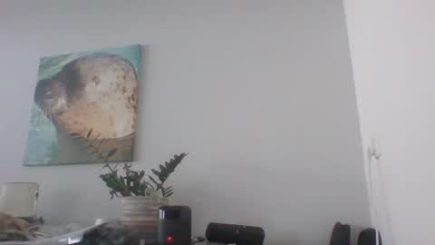 Dave online show from 12.12.24