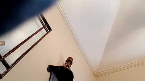 Snapshot of camerontaylorcub chatting on 12.03.24 camerontaylorcub online show from 12.03.24