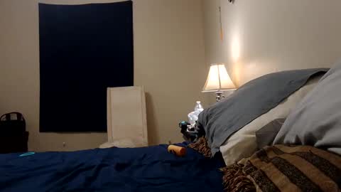 Snapshot of camerontaylorcub chatting on 09.29.25 camerontaylorcub online show from 09.29.25