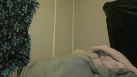 Snapshot of candianman86 chatting on 05.29.26 candianman86 online show from 05.29.26