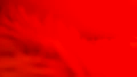 captain_nature online show from 02.26.25