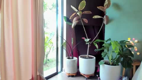 Snapshot of caramelo_xox chatting on 11.17.25 online show from 11.17.25